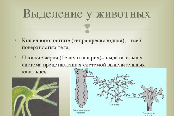 Как написать администрации даркнета кракен