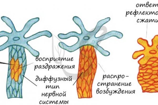 Зеркало кракен kr2web in