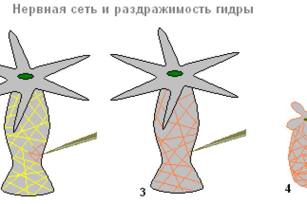 Можно вывести деньги с кракена