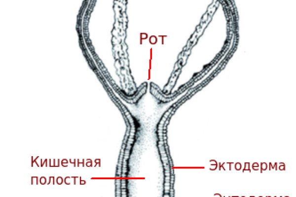 Активная ссылка кракен