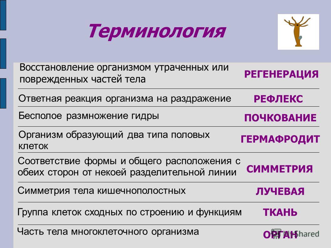 Как найти настоящую кракен даркнет ссылку